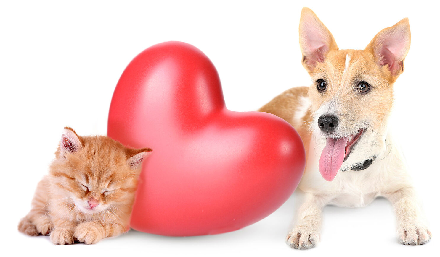 Unconditional Love